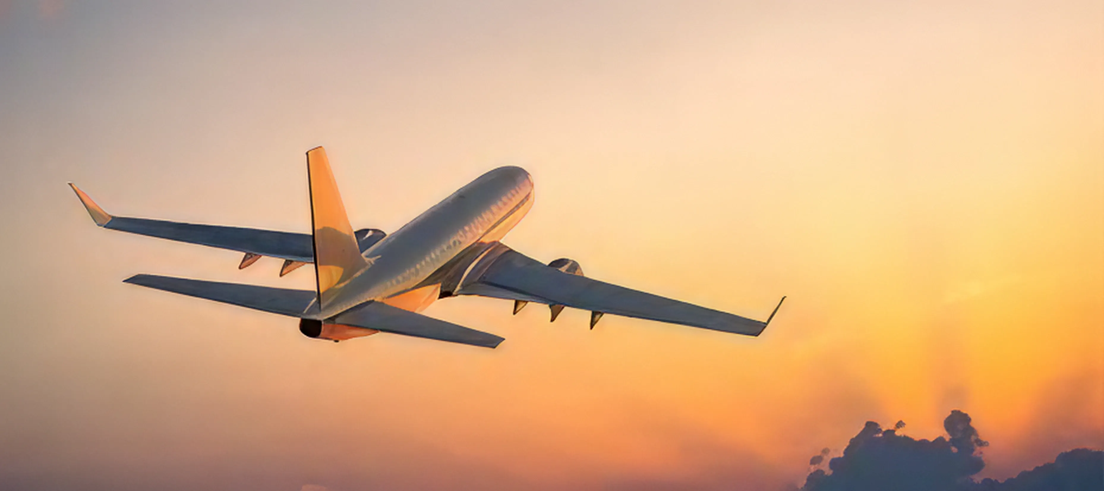Airplane tail in sunset